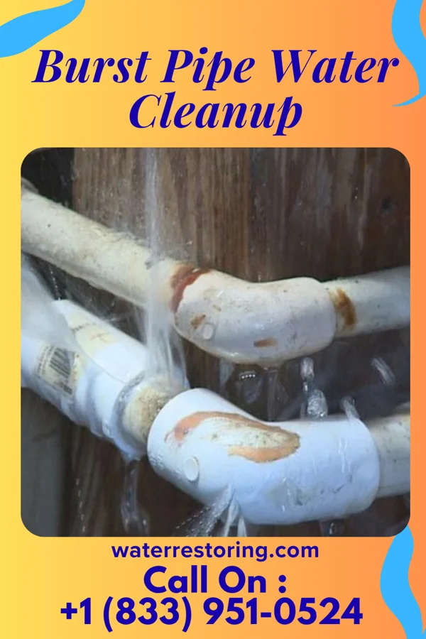 Burst Pipe Water Cleanup in Clay, WV