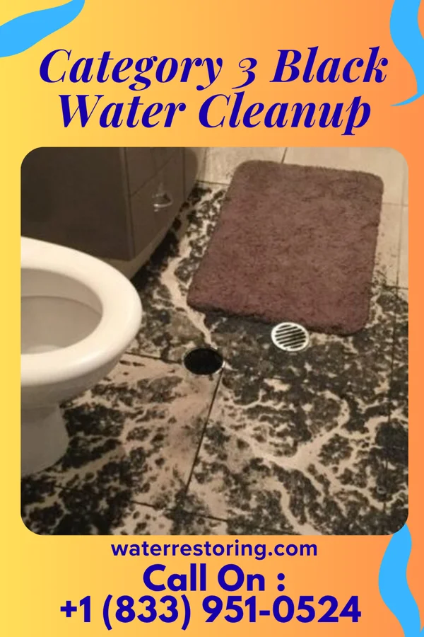 Category 3 Black Water Cleanup in Clay, WV