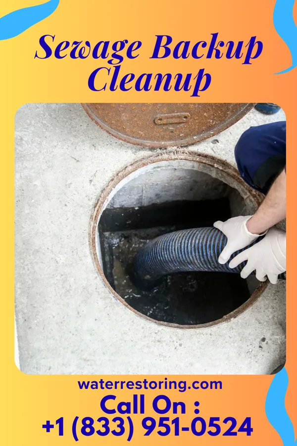 Sewage Backup Cleanup in Clay, WV