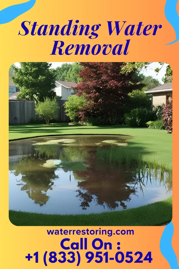 Standing Water Removal in Clay, WV